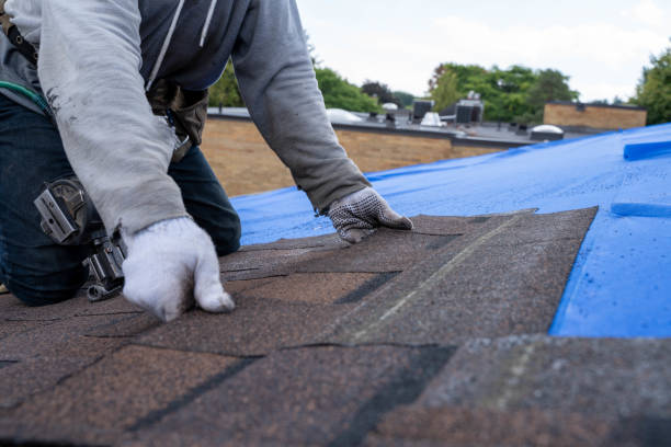 Best Roof Gutter Cleaning  in Monticello, WI