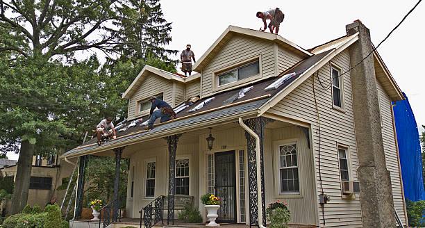 Best Shingle Roofing Installation  in Monticello, WI